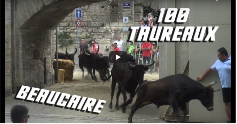 BEAUCAIRE 2018 – Retour en vidéo sur les 100 taureaux, les encierros et l’abrivado du canal lors de la Fête votive de Beaucaire 2018