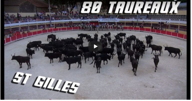 ST GILLES (24-08-2018) – Retour en vidéo sur les 80 taureaux