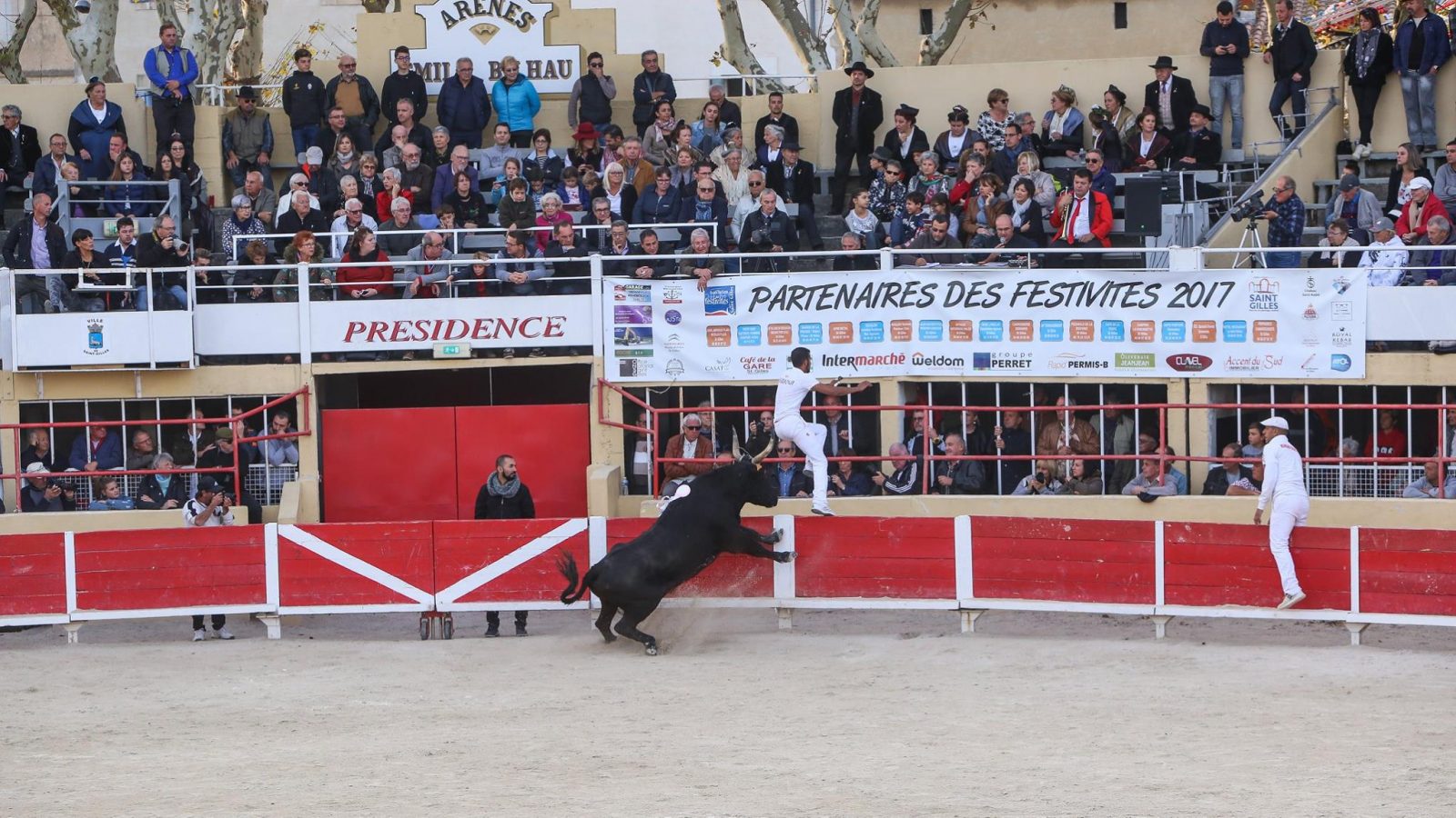 ST GILLES – La course au Gland d’or, prévue jeudi 01 novembre, est annulée pour cause de fortes pluies