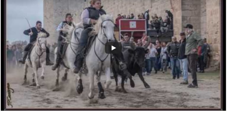 AIGUES MORTES (21/10/2018) – Retour en vidéo sur le dernier jour de la Fête d’Aigues Mortes 2018