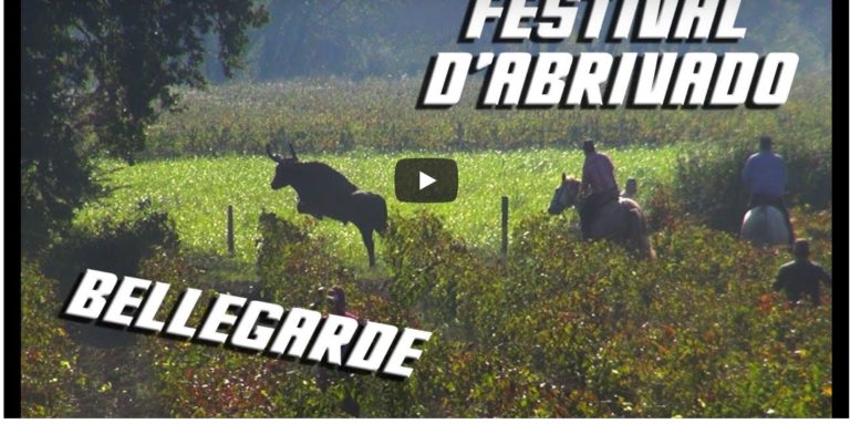 BELLEGARDE (21/10/2018) – Retour en vidéo sur le Festival d’Abrivado