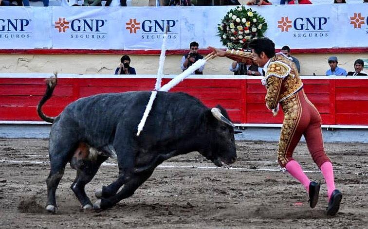 Irapuato (México) (17/11/2018) – EL ZAPATA en grand triomphateur, Fermín Espinosa “Armillita IV” et Andy Cartagena seulement une oreille