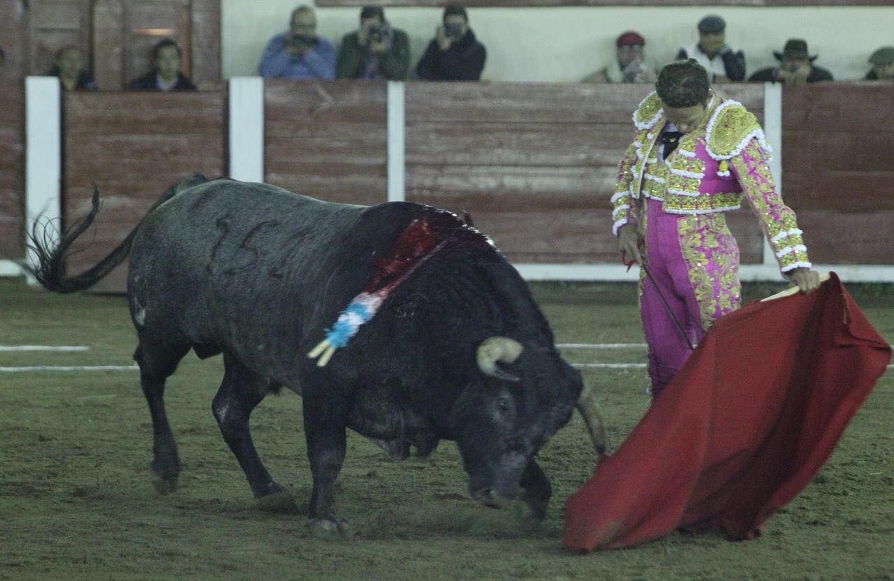 Tlaxcala (México) (16/11/2018) – 5 oreilles pour le Mano a Mano FERRERA / ANGELINO