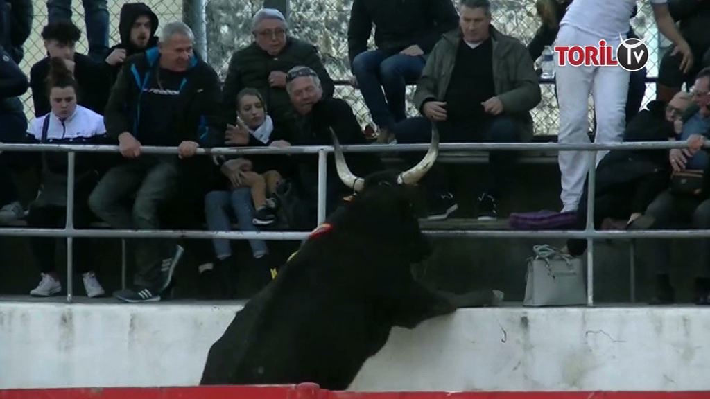 CALENDRIER Courses Camarguaises – 08 au 11 novembre 2019