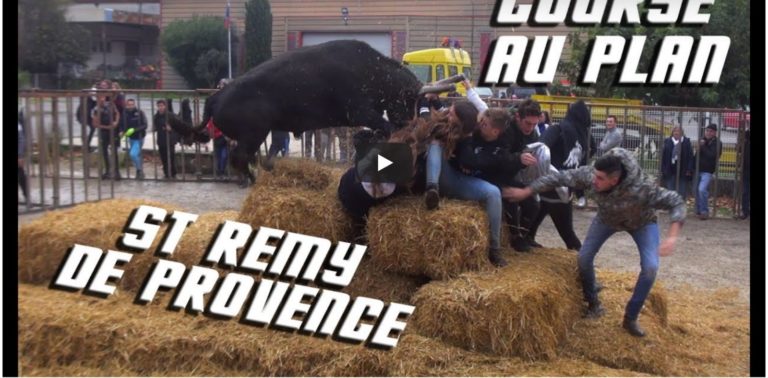 ST REMY DE PROVENCE (02/12/2018) – Retour en video sur la course au plan