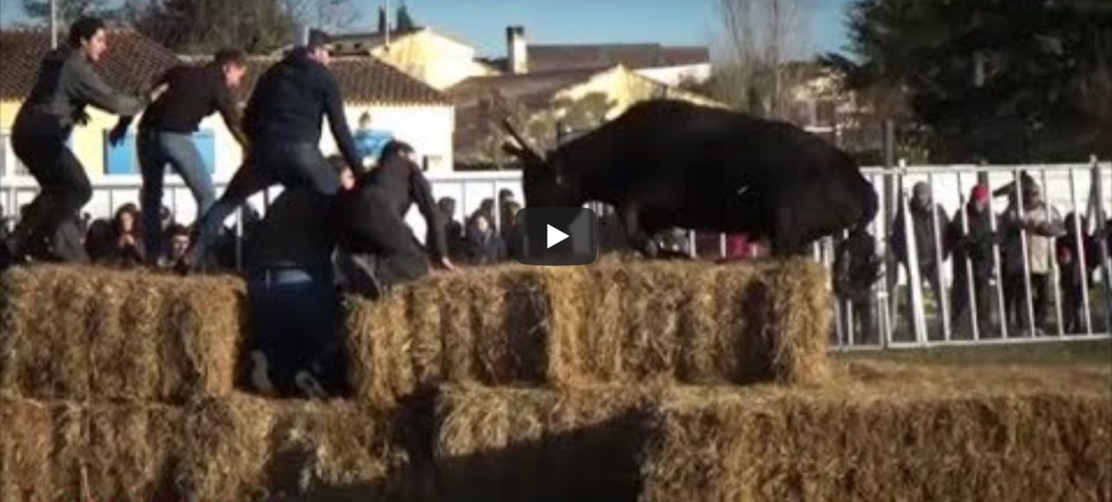 MARSILLARGUES (27/01/2019) – Retour en vidéo sur l’Enci’llargues – Course au plan manade Aubanel et Labourayre