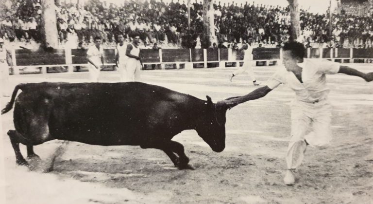 IMAGE DE JADIS // Raset de FIDANI au taureau « SANGAR » 1954