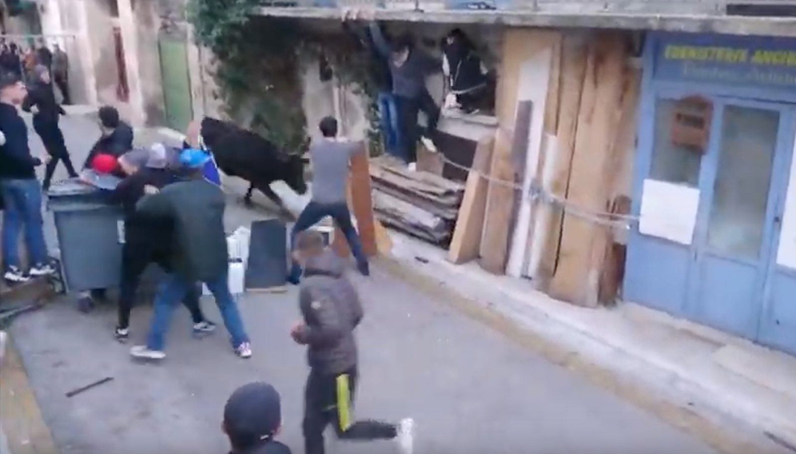 LUNEL VIEL (26/01/2019) – Retour en vidéo sur la journée taurine