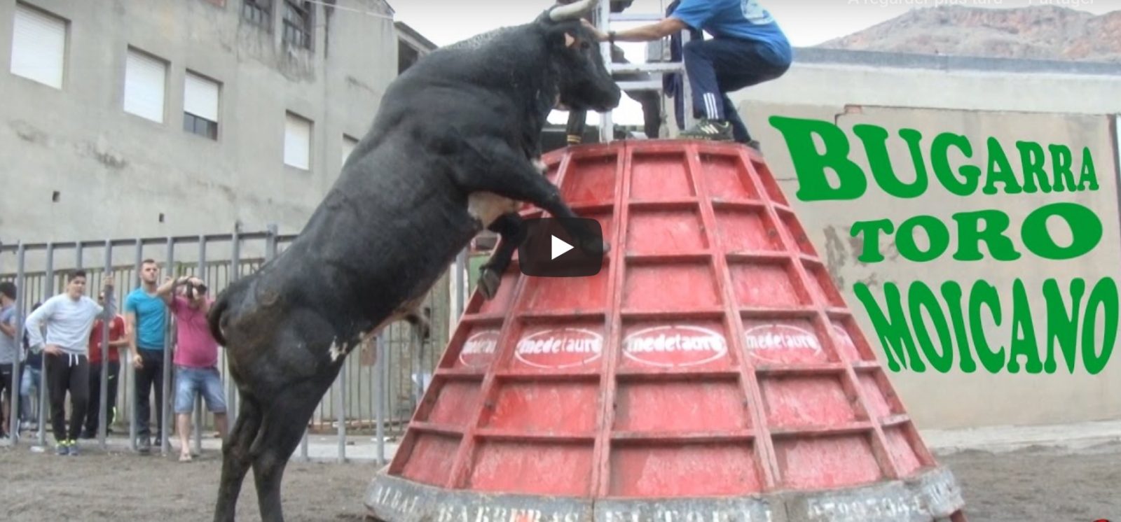 BUGARRA – Ganaderia El Cali FAMOSO Toro Moicano – VIDEO TOROS SAM VALENCIA