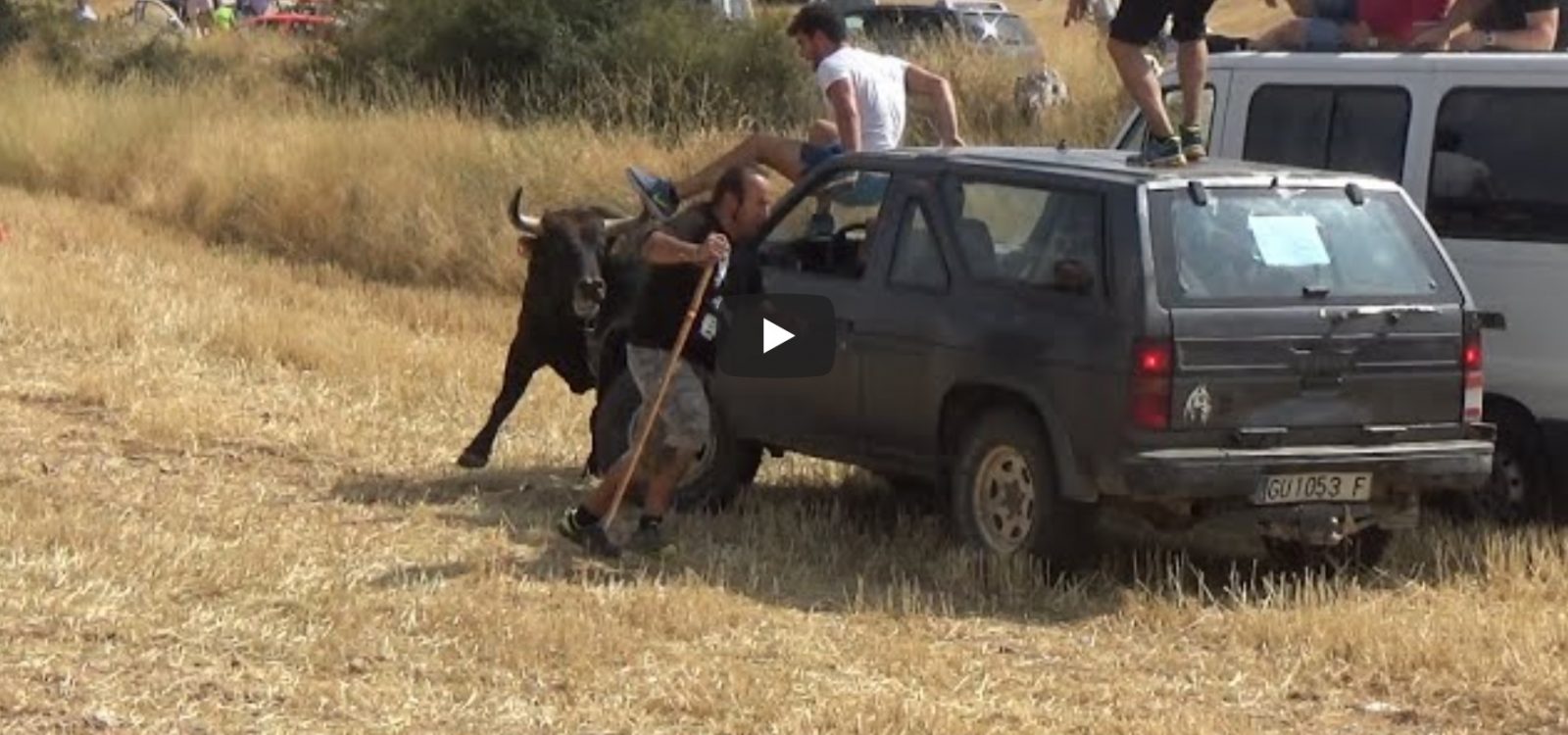 PORQUE NO SE SUBE AL COCHE?? RESUMEN encierros por el campo en Fuentelencina 2018