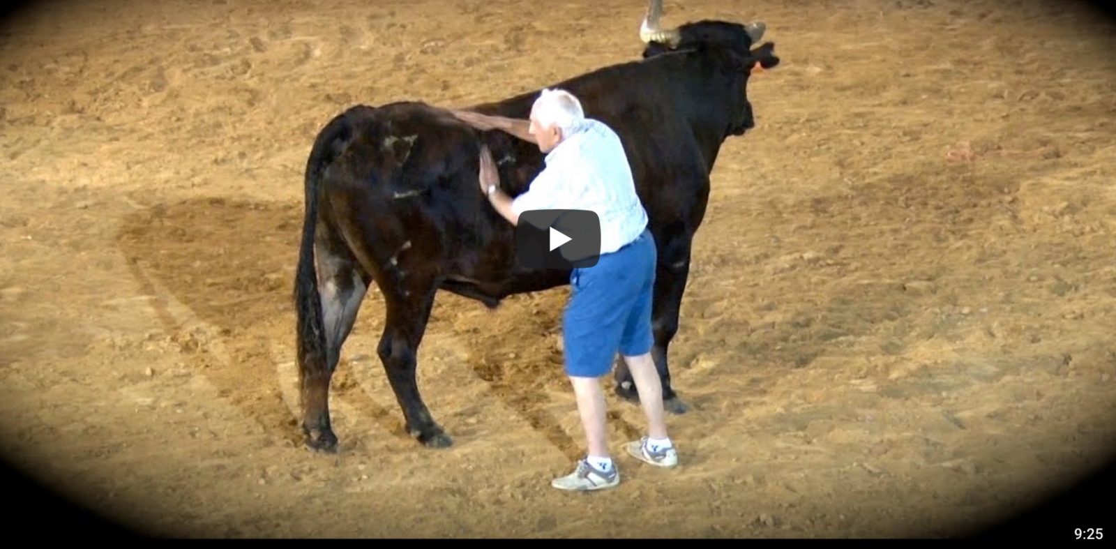 2015 ALDAYA – Jose Luis Pejenaute y El Toro Capitán