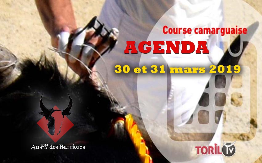 AU FIL DES BARRIERES – L’ Agenda Course Camarguaise – 30 et 31 mars 2019