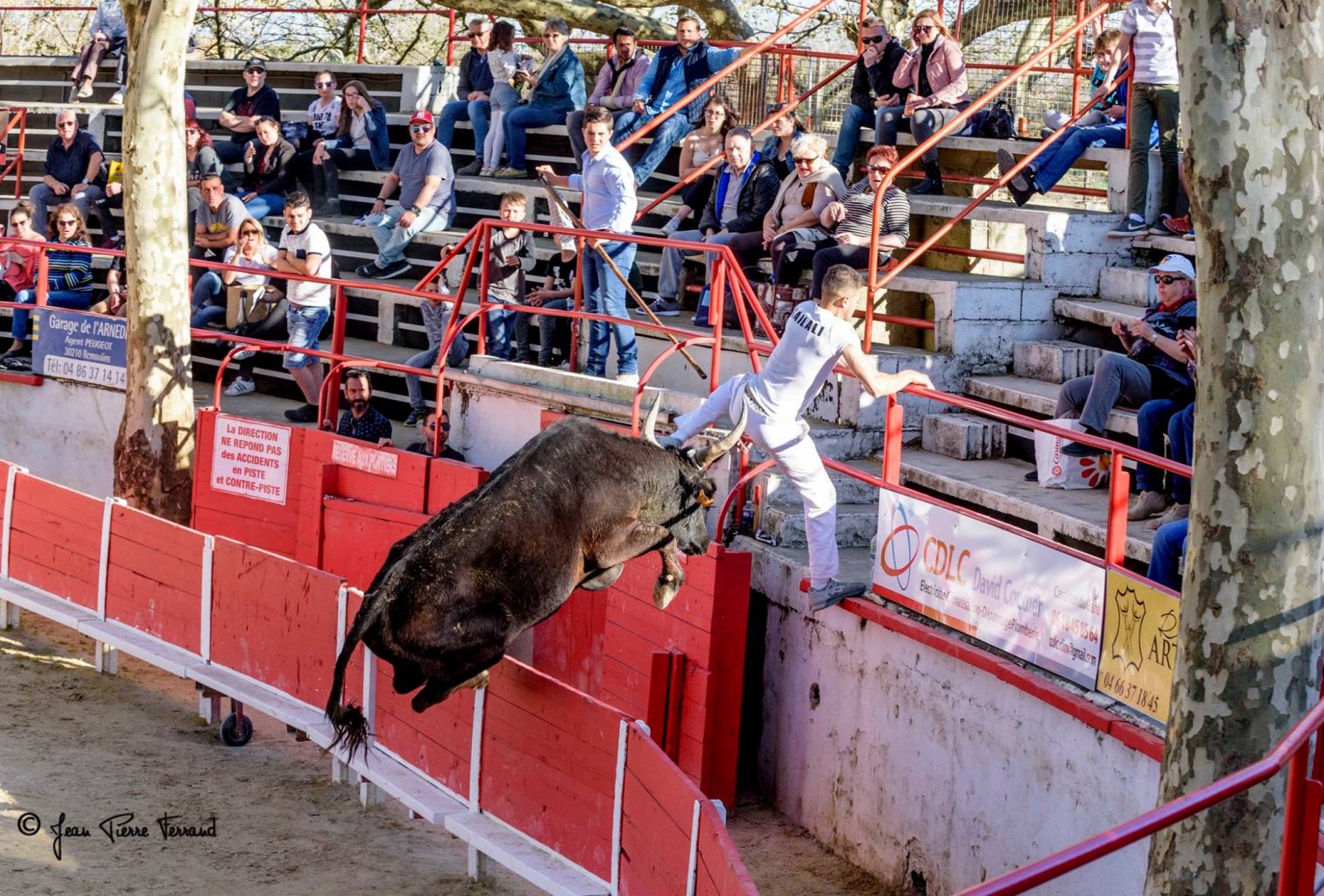 ARENES PARTENAIRES // Retrouvez les courses camarguaises du 19 au 22 juillet 2019 dans nos arènes partenaires