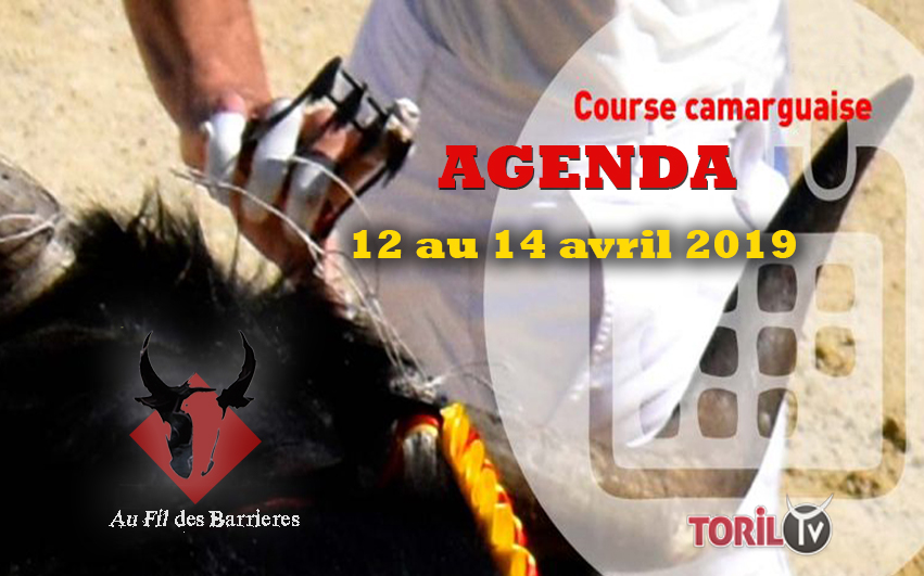 L’ Agenda Course Camarguaise – 12 au 14 avril 2019 – AU FIL DES BARRIERES