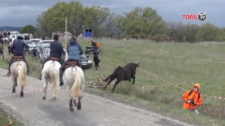 AIGREMONT (06/04/2019) – Retour en vidéo sur la bandido parcours ouvert