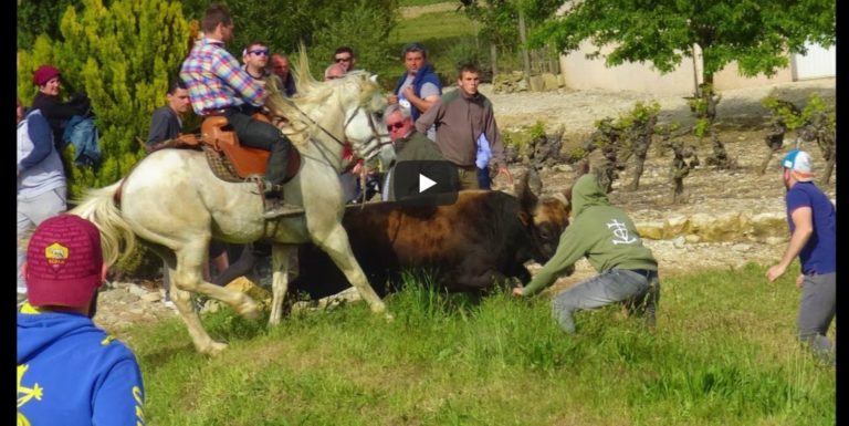 DOMESSARGUES (28/04/2019) – Retour en vidéo sur le festival de bandido parcours ouvert