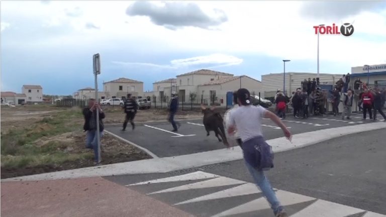 SAINT CHAPTES (07/04/2019) – Retour en vidéo sur la bandido parcours ouvert