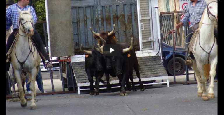 Retour en vidéo sur la bandido de BEAULIEU