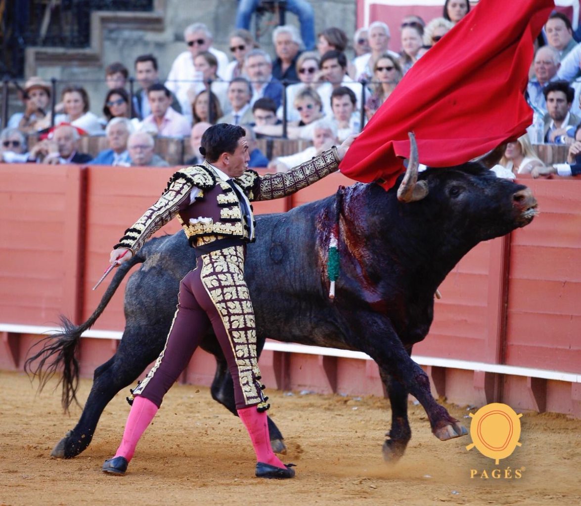 SEVILLE (12-05-2019) Final sans éclats. Deux ovations pour OCTAVIO CHACON