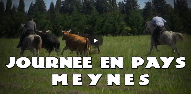 MEYNES (27/04/2019) – Retour en vidéo sur la journée en pays