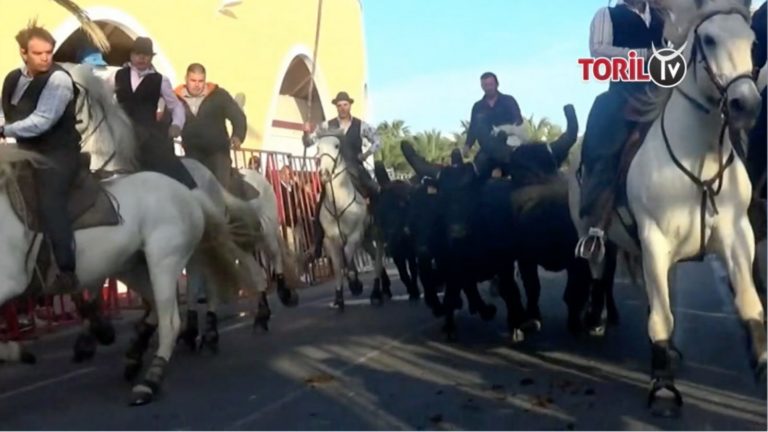 PALAVAS (04 et 05/05/2019) – Retour en vidéo sur la Feria de la Mer