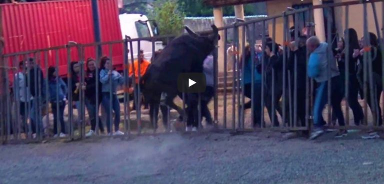 Retour en vidéo sur l'ENCIERRO