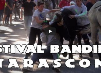 Retour en vidéo sur le Festival Bandido