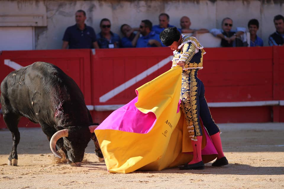 VIDEO // Les deux faenas complètes de Antonio Ferrera – NIMES (08/06/2019)