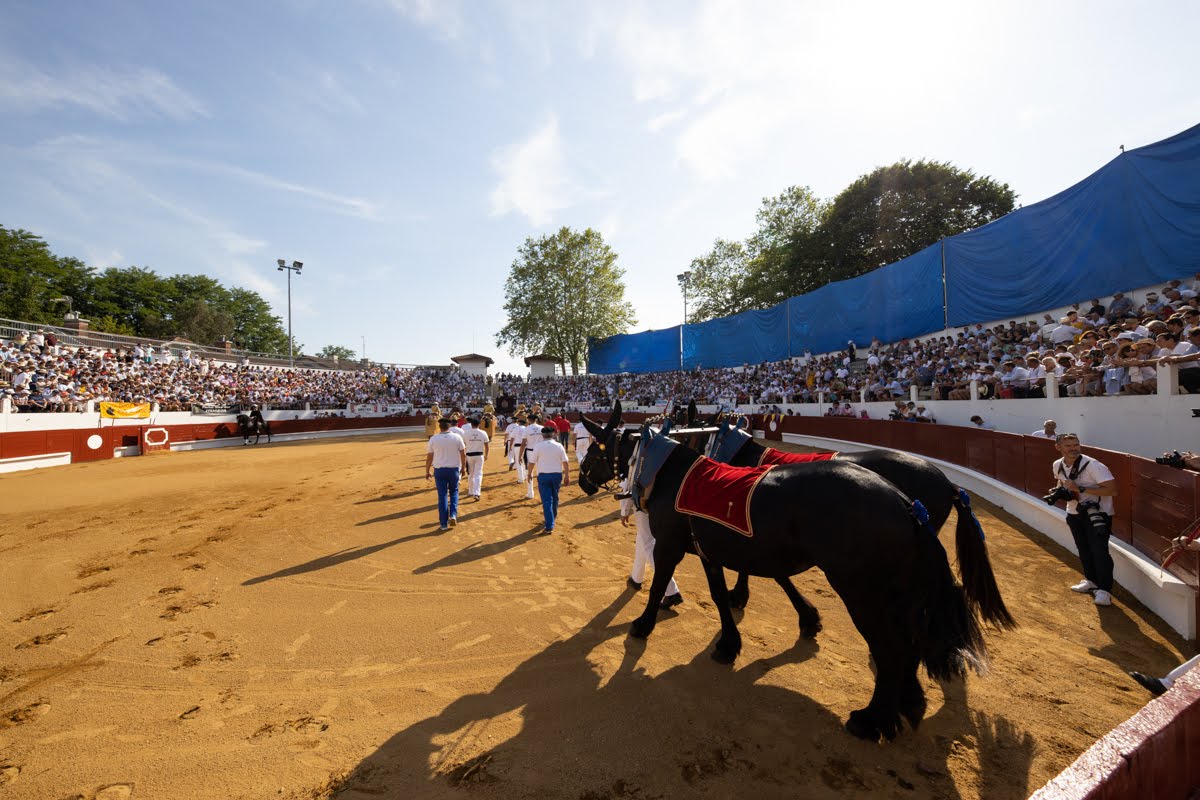 SAINT SEVER et AIGNAN // Les cartels
