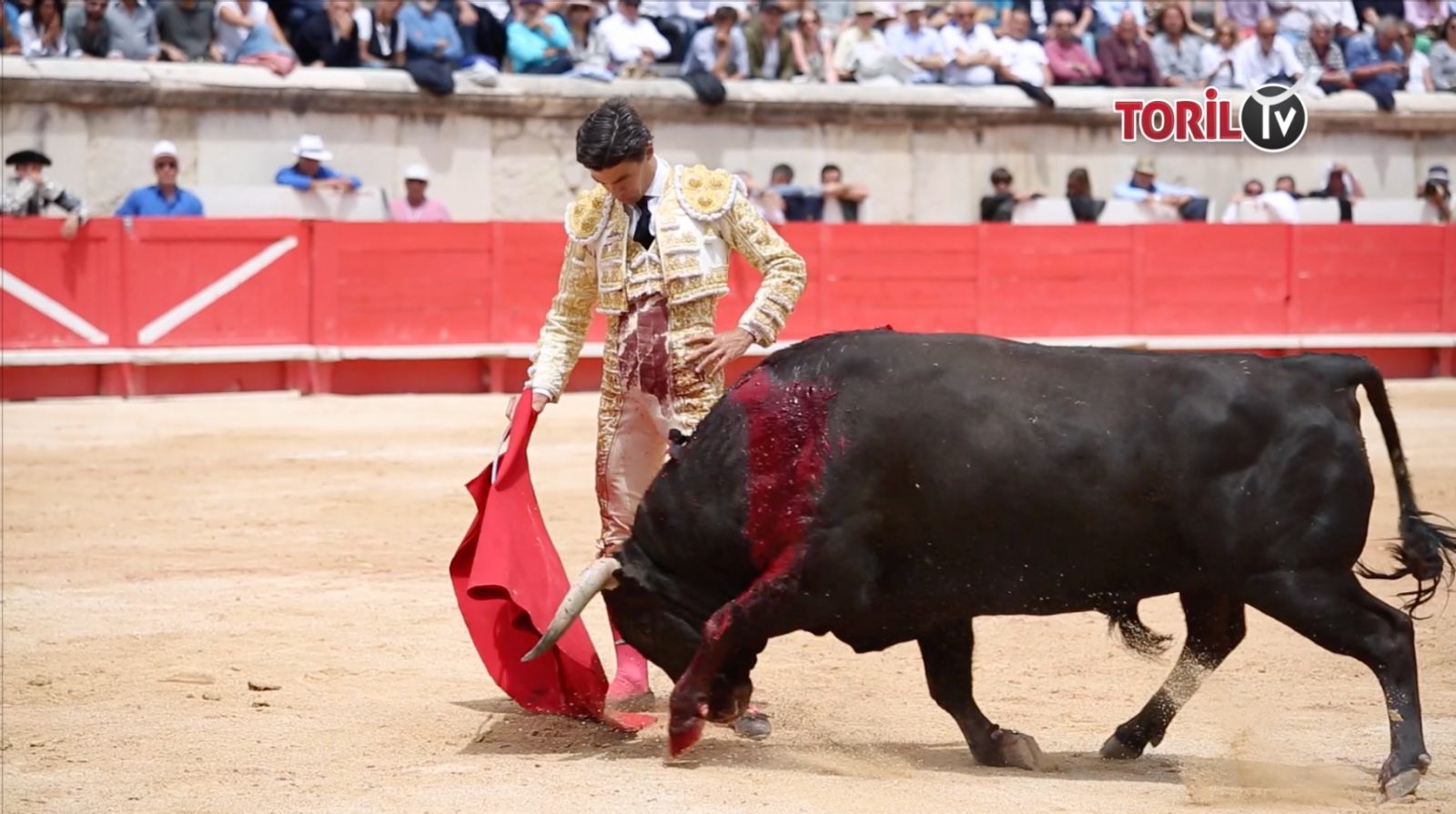 VIDEO // Les deux faenas complètes de PABLO AGUADO – NIMES (09/06/2019)
