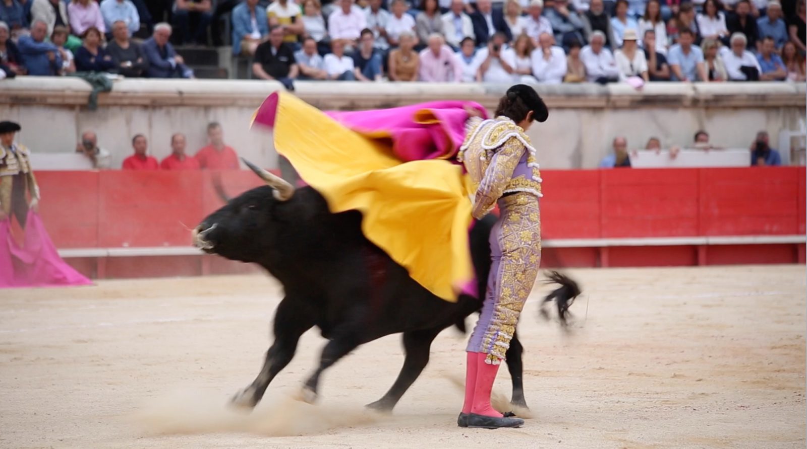 VIDEO // Les trois faenas complètes de Sébastien Castella – NIMES (09/06/2019)