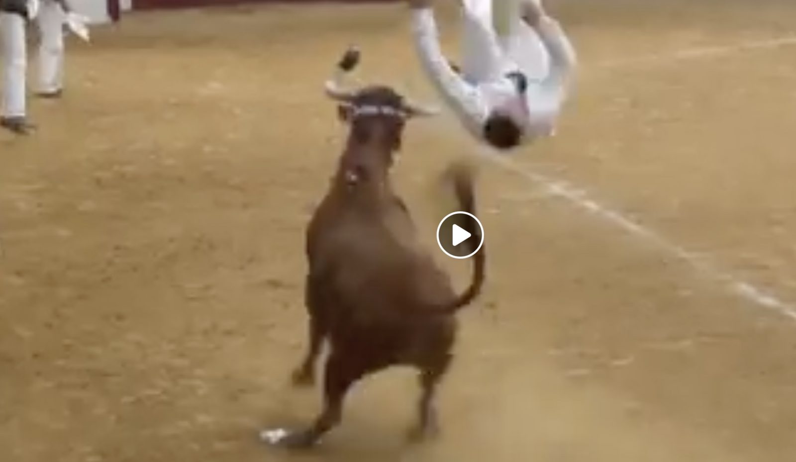 Les meilleures images du week end