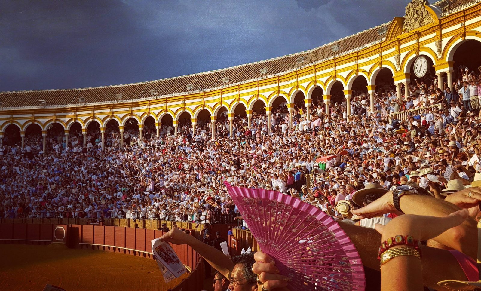 UNE ARÈNE, UNE HISTOIRE // LA REAL MAESTRANZA DE CABALLERIA DE SEVILLA