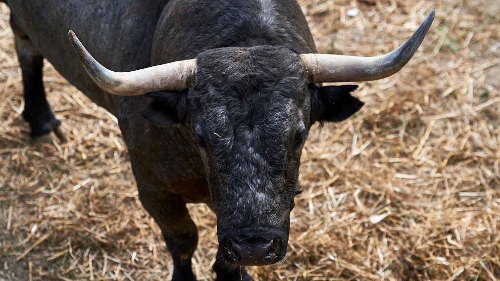 PAMPLONA (09/07/2019) – SORTEO et présentation de la corrida du jour – Toros de JOSE ESCOLAR pour Fernando Robleño, Javier Castaño et Pepe Moral
