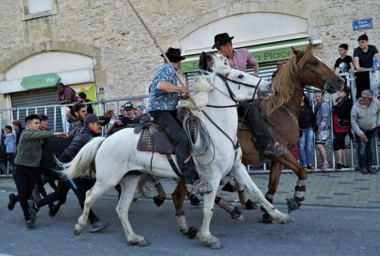 INFO // La manade Aubanel cambriolée – L’appel de Bérenger Aubanel