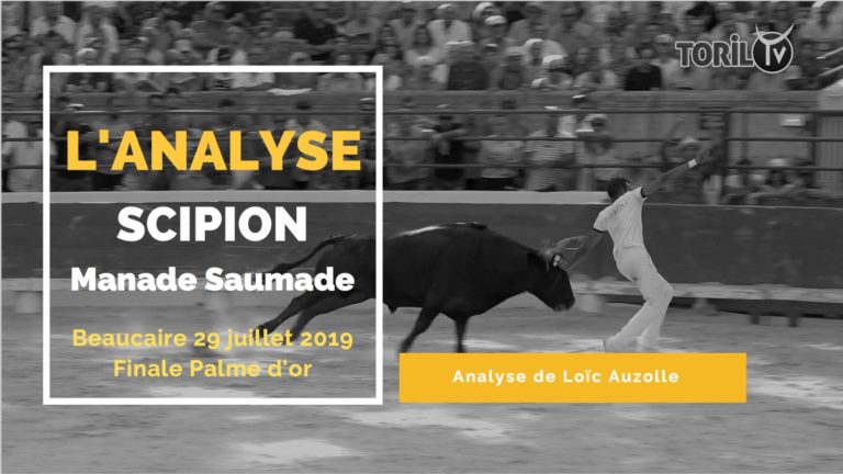 L’ANALYSE – SCIPION (Manade Saumade) – Beaucaire (29/07/2019) – Finale Palme d’or – VIDEO