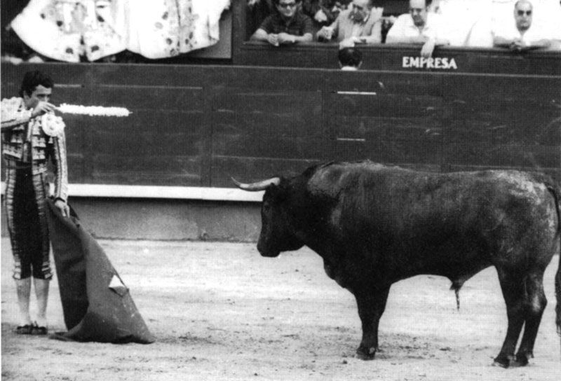 Il y a 37 ans, Belador et Victorino Martin entrent pour toujours dans l’histoire de Las Ventas