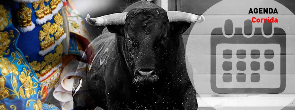 CORRIDAS DU JOUR (21/07/2019)