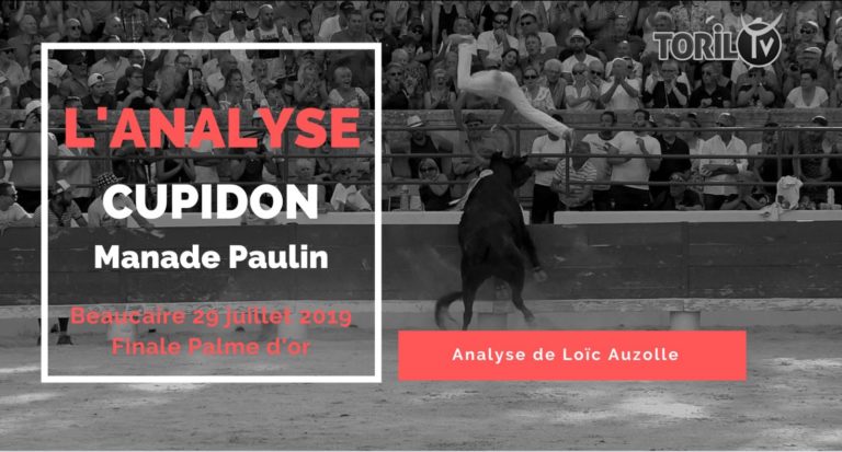 L’ANALYSE – CUPIDON (Manade Paulin) – Beaucaire (29/07/2019) – Finale Palme d’or – VIDEO