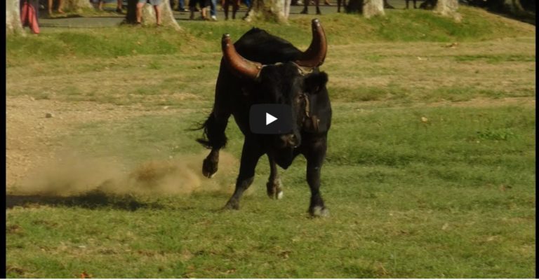 GAJAN (25 et 26/07/2019) – Retour en vidéo sur les bandido parcours ouverts