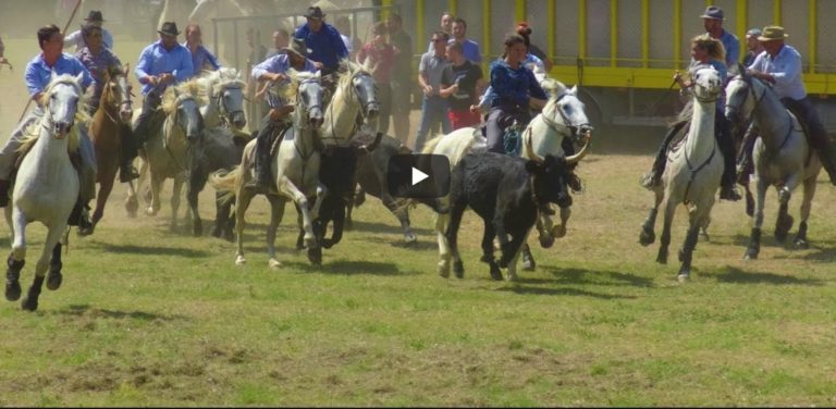 GAJAN (28/07/2019) – Retour en vidéo sur le Festival d’abrivado