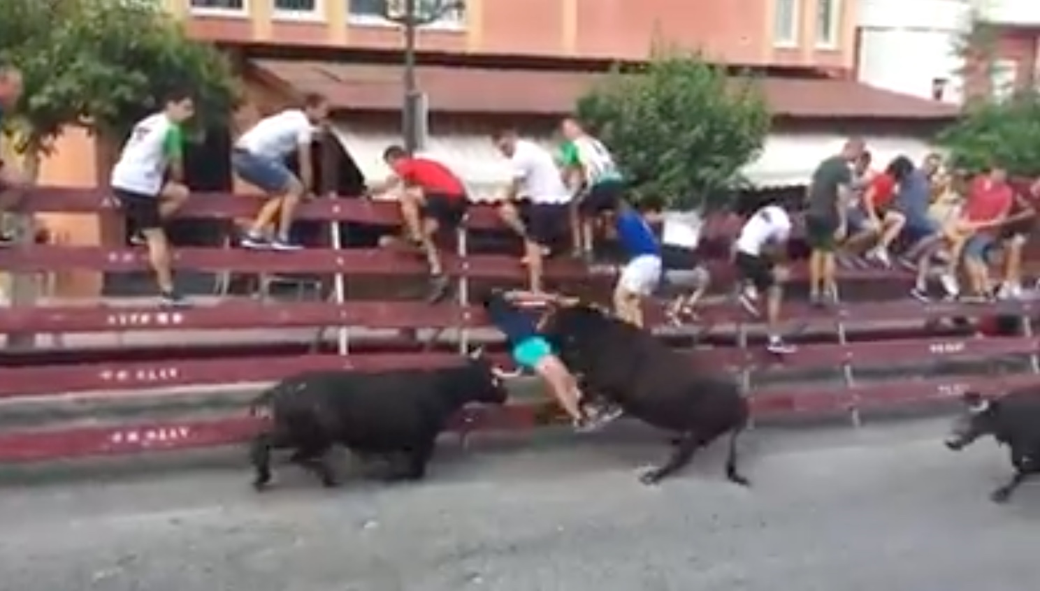 VIDEO DU NET // Incroyable situation lors de l’encierro de Moratalla