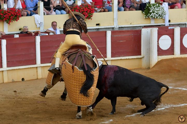 Les spectacles du samedi 10 aout 2019.