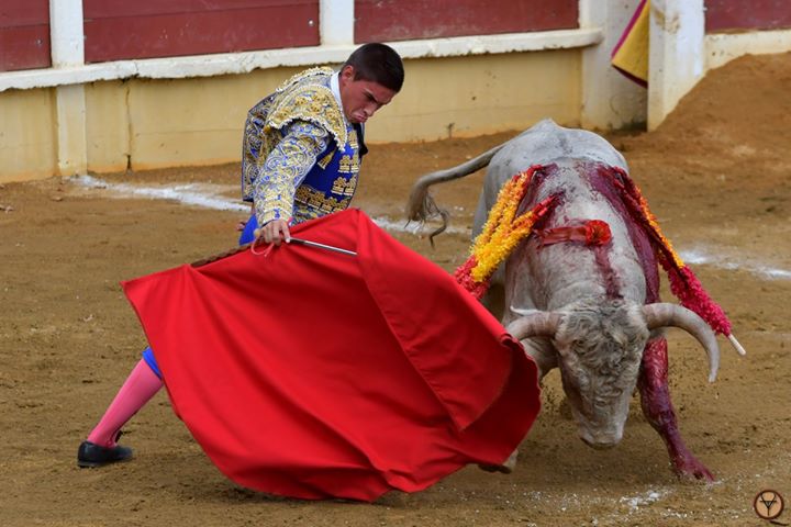 Les autres spectacles du dimanche 11 aout 2019, PARENTIS, MILLAS, PONTEVEDRA, MOTRIL, BAEZA