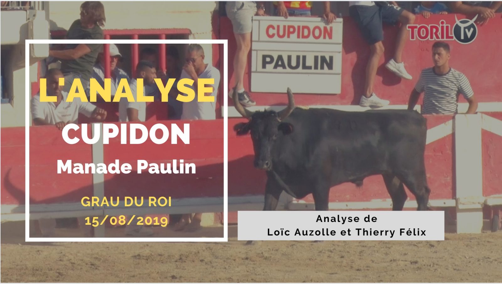 L’ANALYSE : Cupidon (Paulin) – Grau du Roi (15/08/2019)