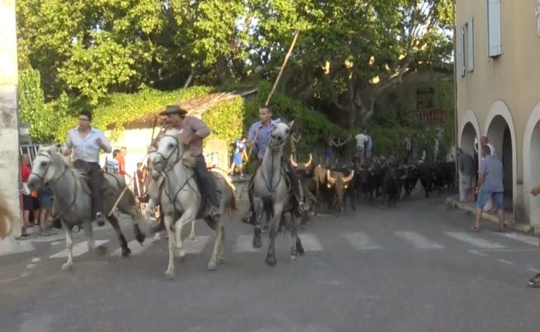 Des nouvelles de Bérenger Aubanel après sa lourde chute lors des 80 taureaux à St Chaptes