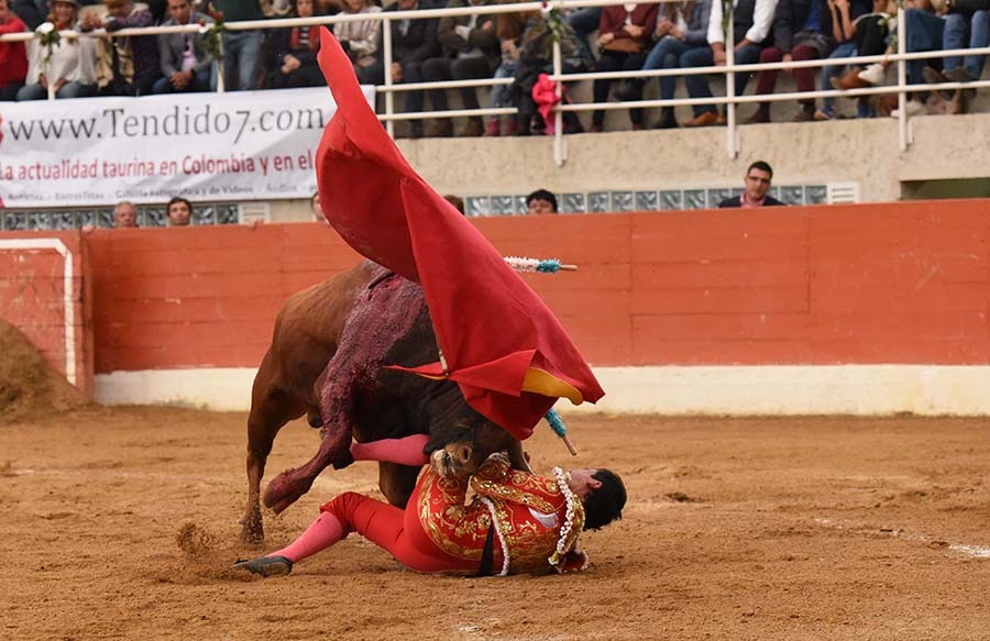 Grave blessure pour le torero colombien Moreno Muñoz.