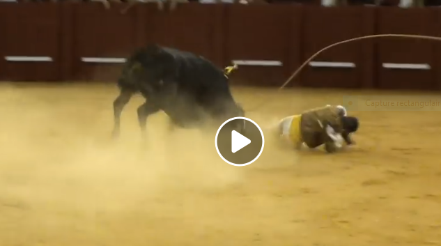 Les meilleures images du week end