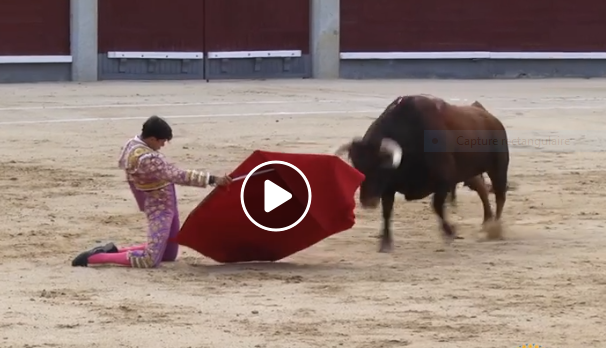 MADRID (11-08-2019) VIDEO // CARLOS OLSINA séduit, ARANDA coupe une oreille