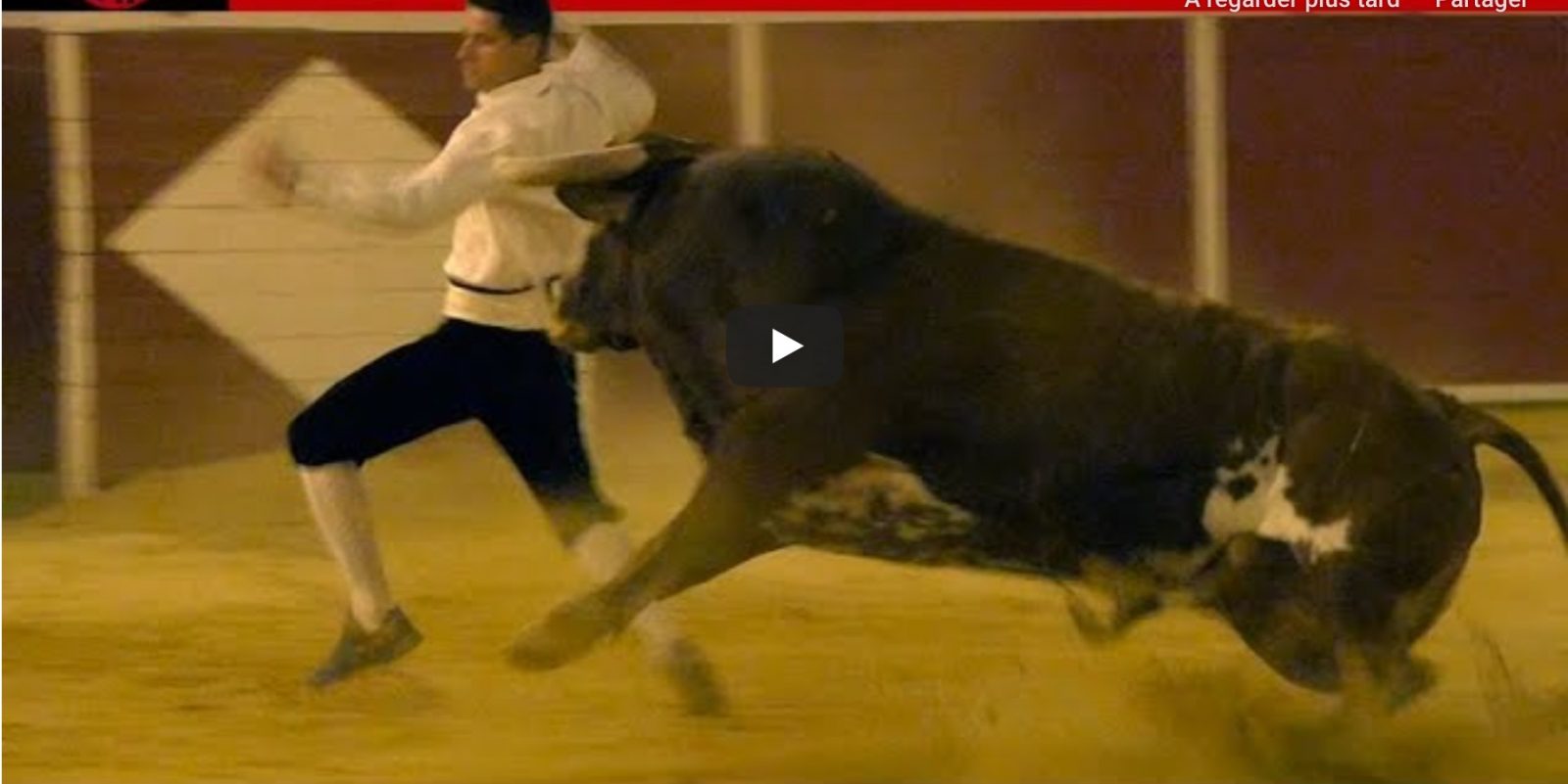 CELLA – CONCURSO DE RECORTE LIBRE CON TOROS DE MONTE LA ERMITA 2019